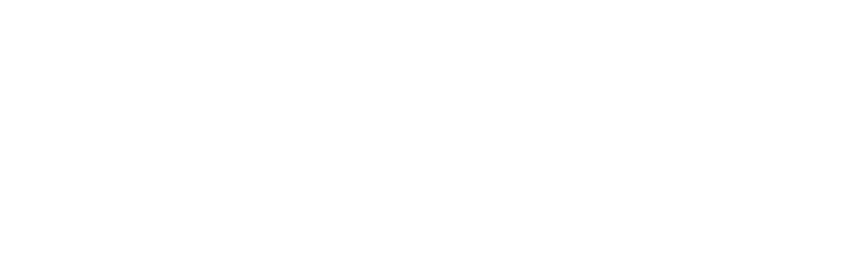 BMS-Logo-B